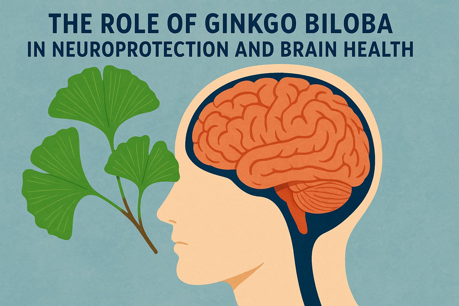 The Role of Ginkgo biloba in Neuroprotection and Brain Health